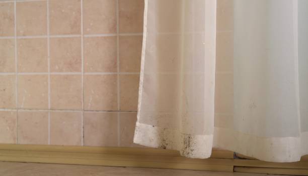 Best Mold Documentation for Insurance Claims  in Bayview, CA