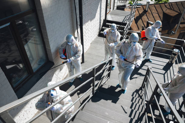 Forensic Mold Investigation in Bayview, CA