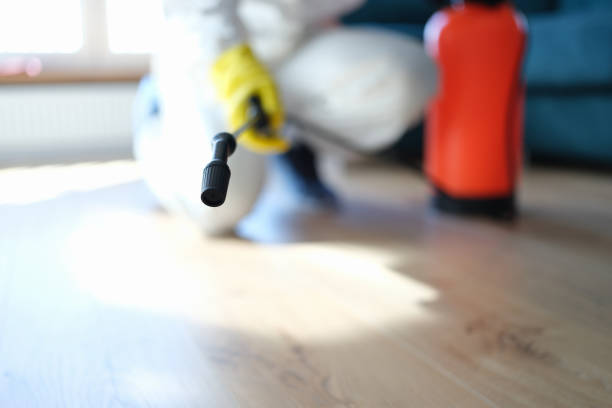 Best Attic Mold Removal  in Bayview, CA