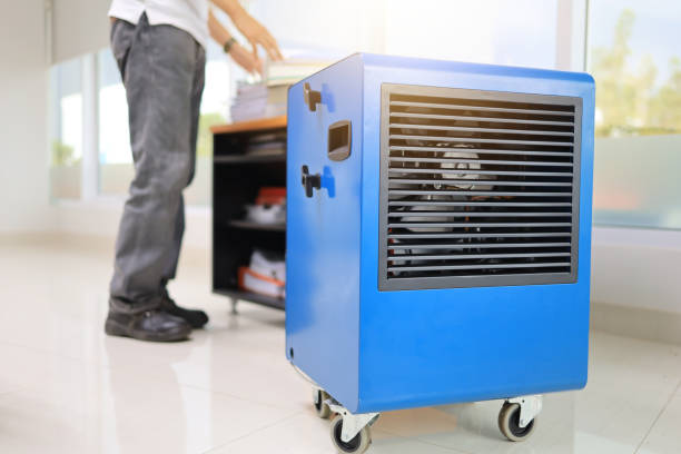  Bayview, CA Mold Removal Pros