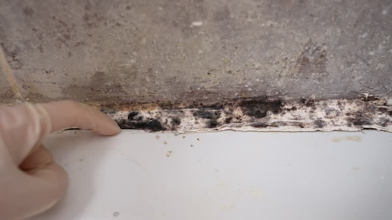 Best Indoor Air Quality Assessment  in Bayview, CA